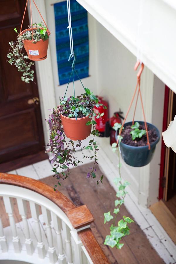 Netherbrae Edinburgh Luaran gambar